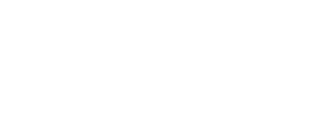 VL Media, početna